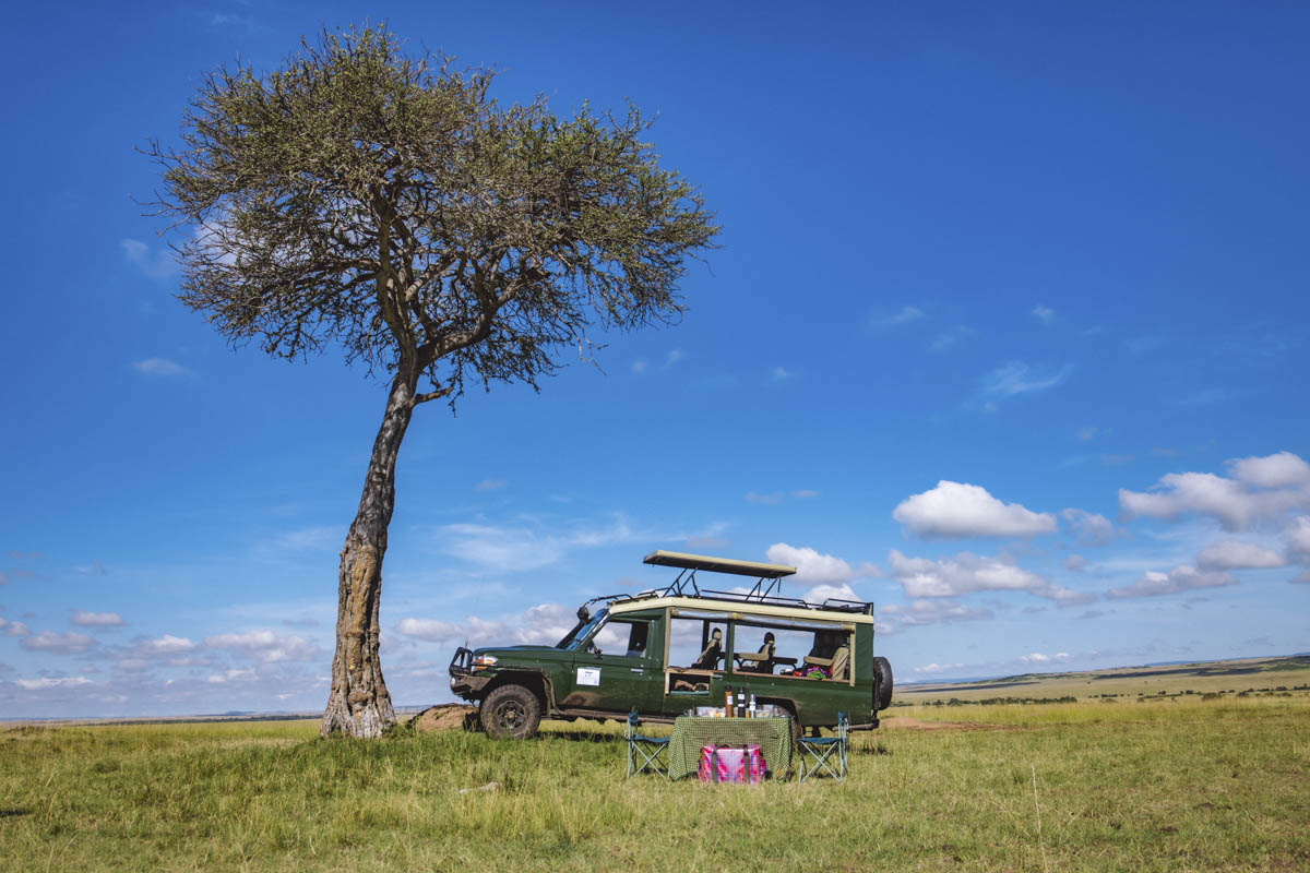Pickcool African Adventures About Us