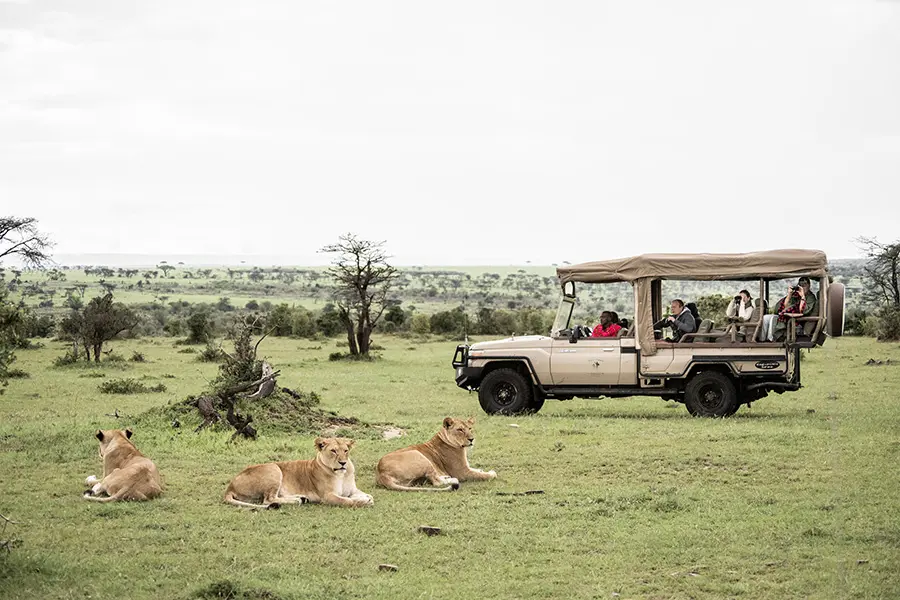 Kenya Safari