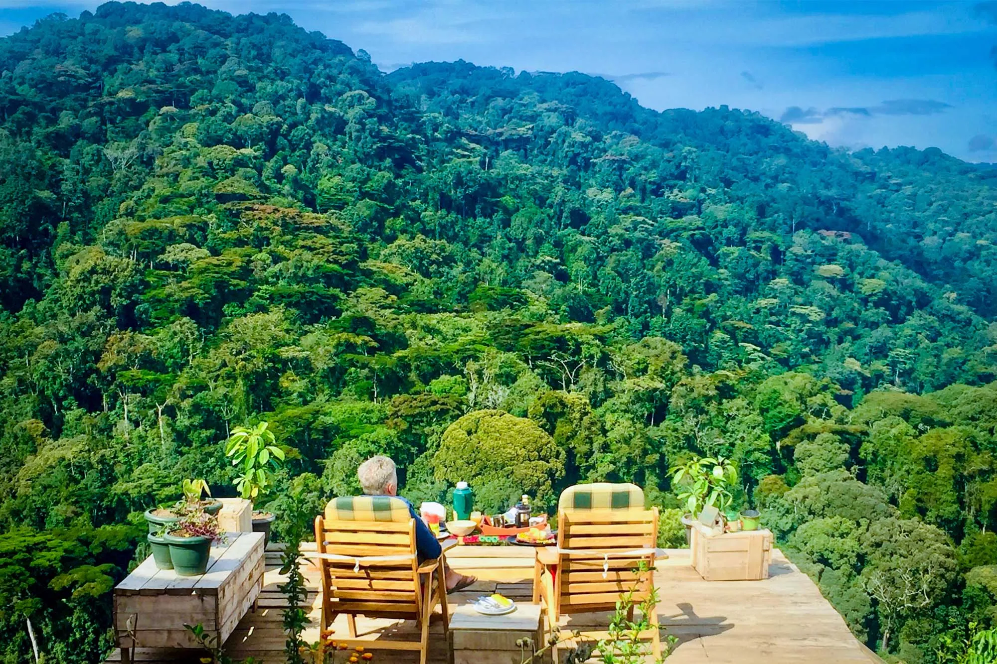 Bwindi Impenetrable National