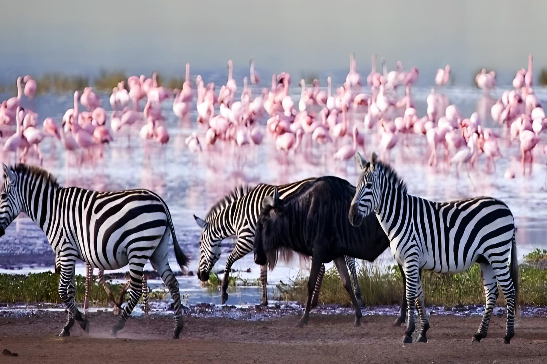 Lake Nakuru National Park