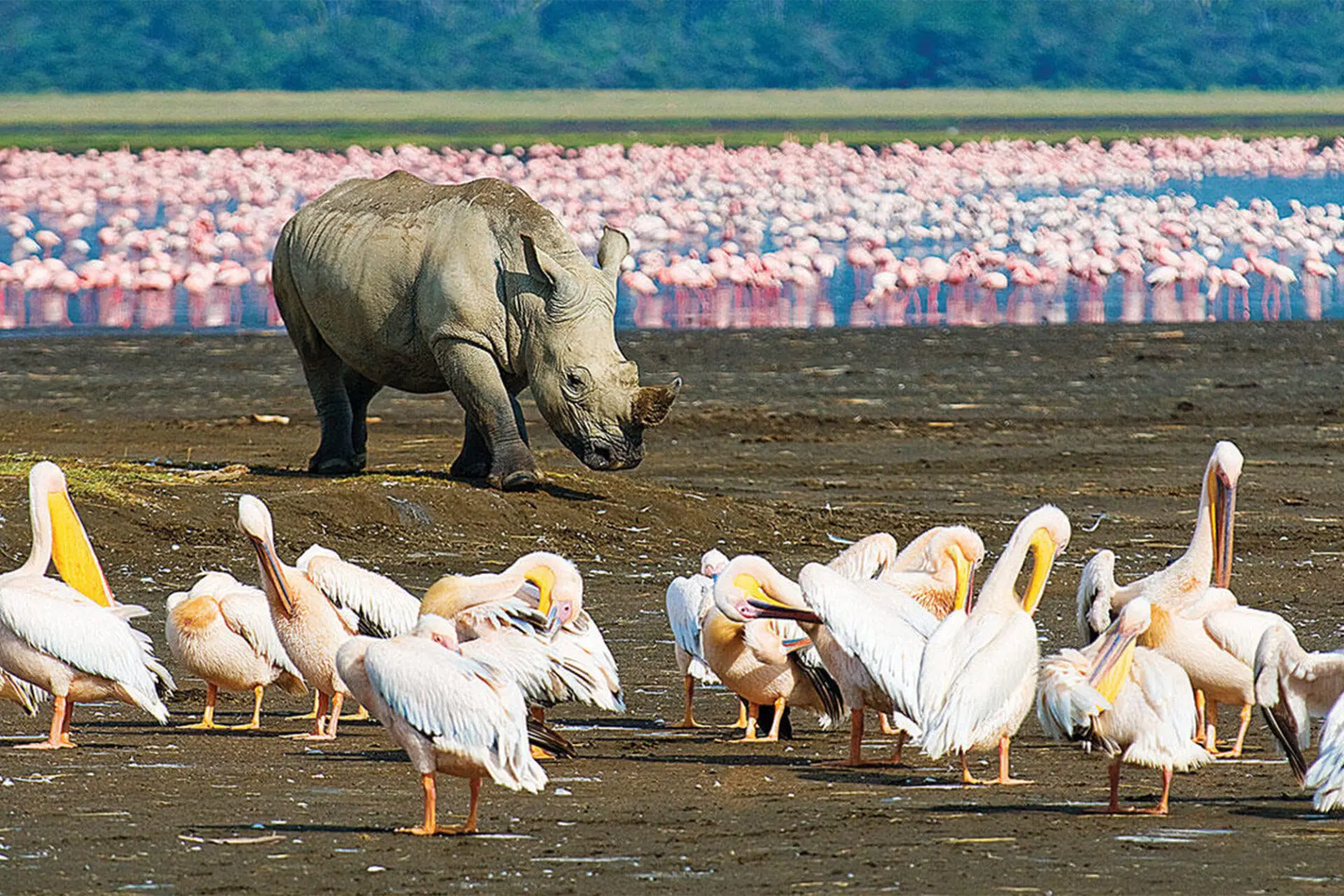 Lake Nakuru National Park