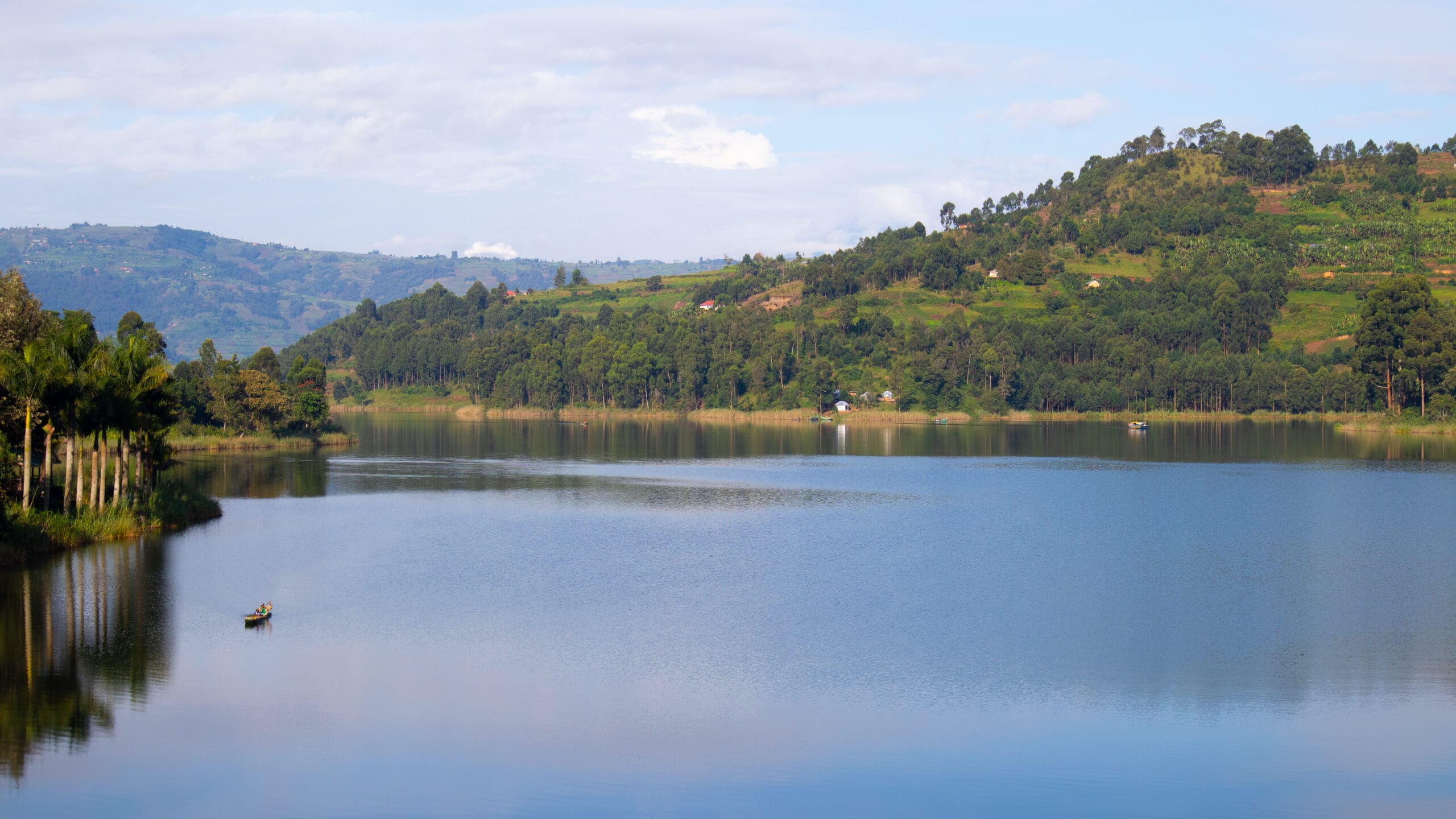 Rwanda-Uganda Golden Monkey and Gorilla Trekking