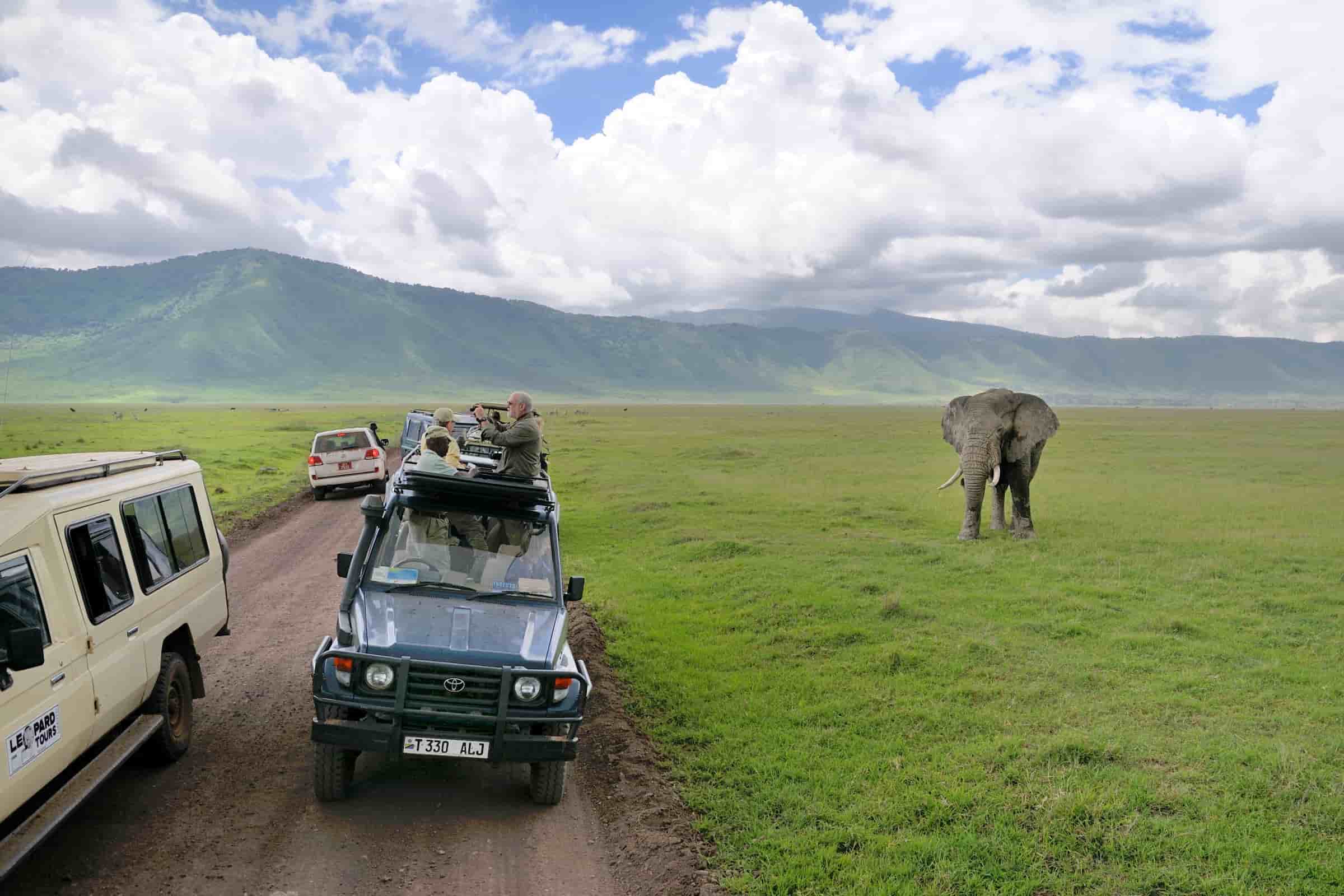 Ngorongoro Crater 