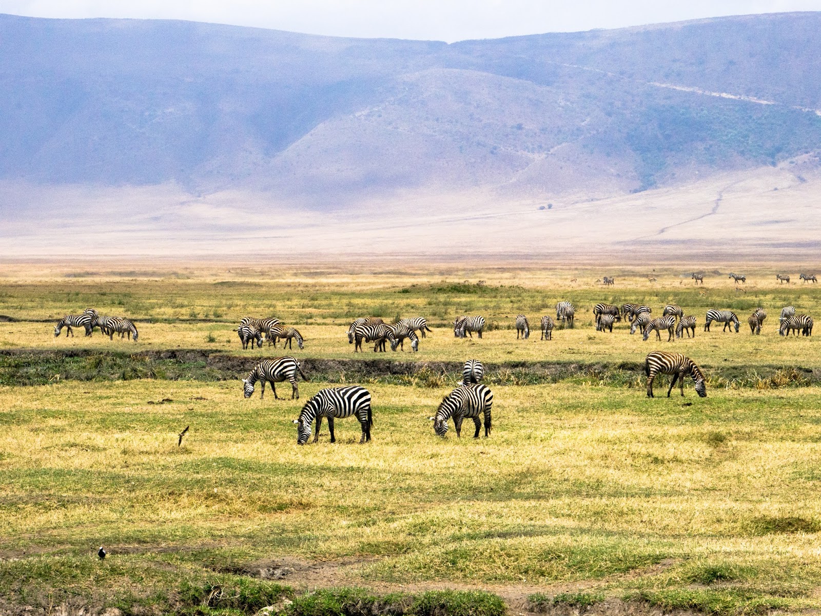 Ngorongoro Crater 