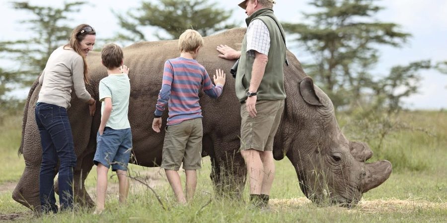 Holiday Safari to Kenya for Family Adventure: Intro to Wildlife, Culture, and Nature