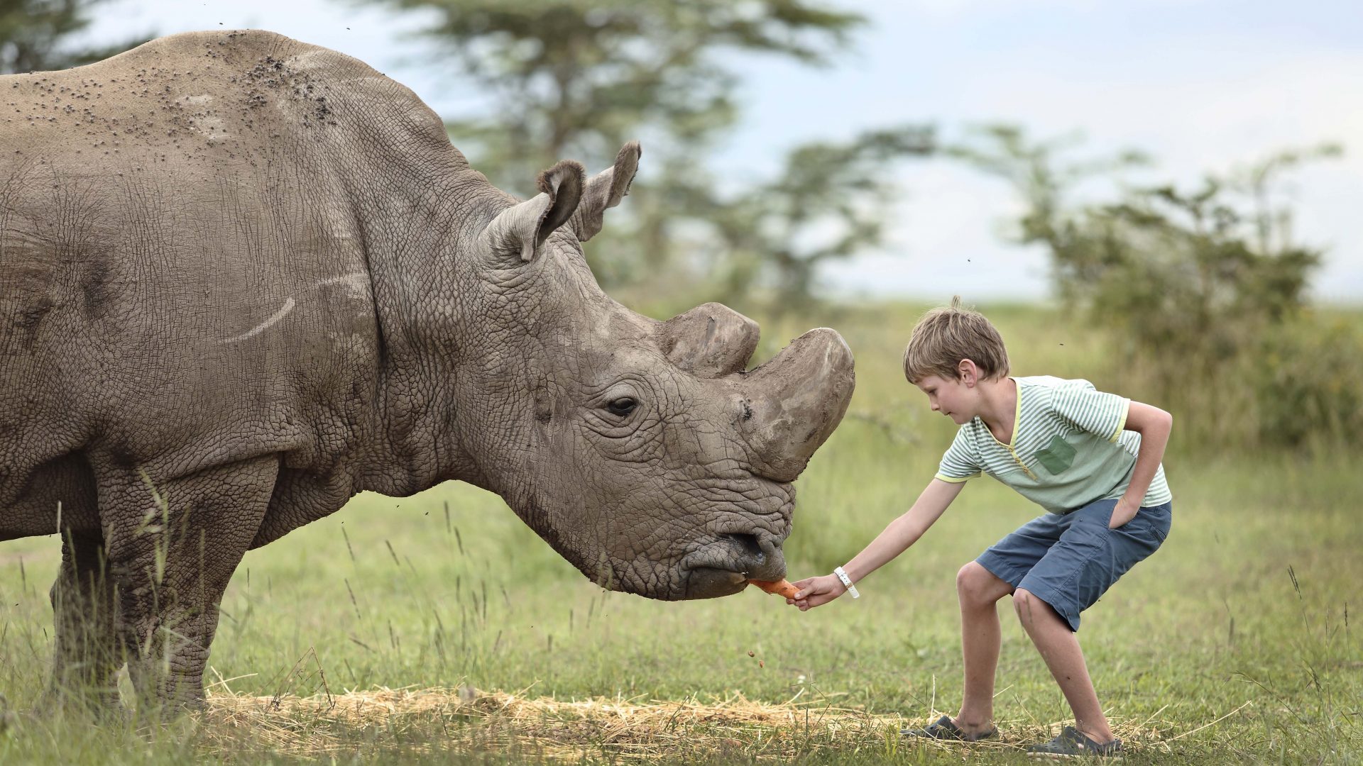 Holiday Safari to Kenya for Family Adventure: Intro to Wildlife, Culture, and Nature
