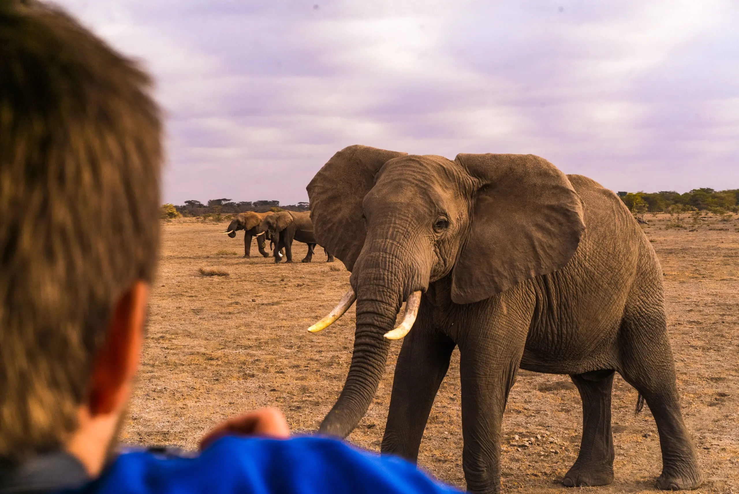 Kenya Grand Wildlife Safari and Big Five Adventure