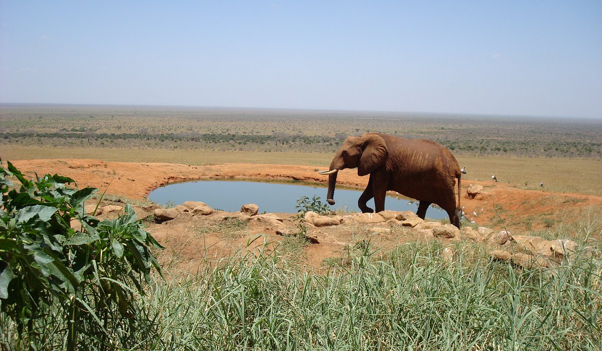 Kenya Grand Wildlife Safari and Big Five Adventure