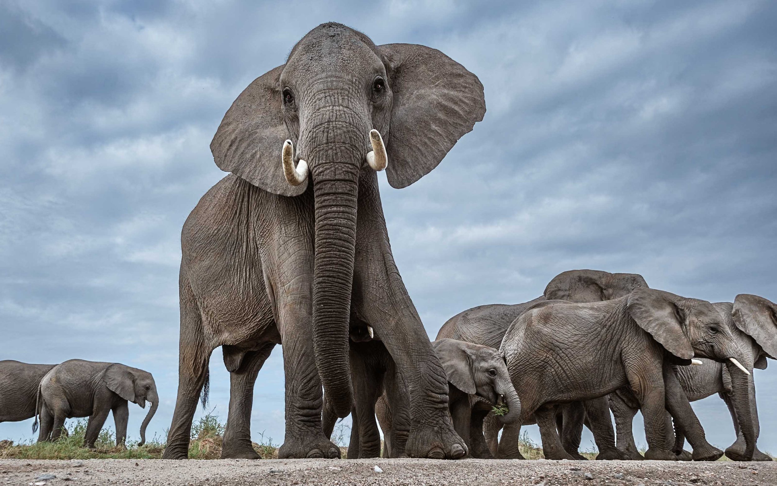 Amboseli National Park