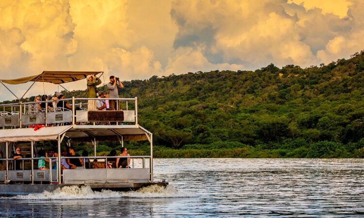 The Ultimate Uganda Wildlife and Gorilla Trekking Safari
