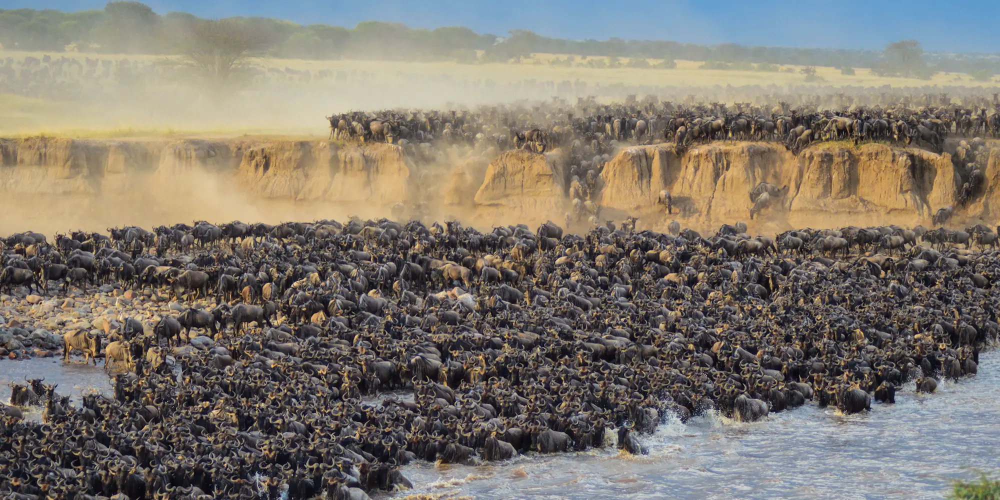 The Great Migration: The best mix of Kenya and Tanzania Safari