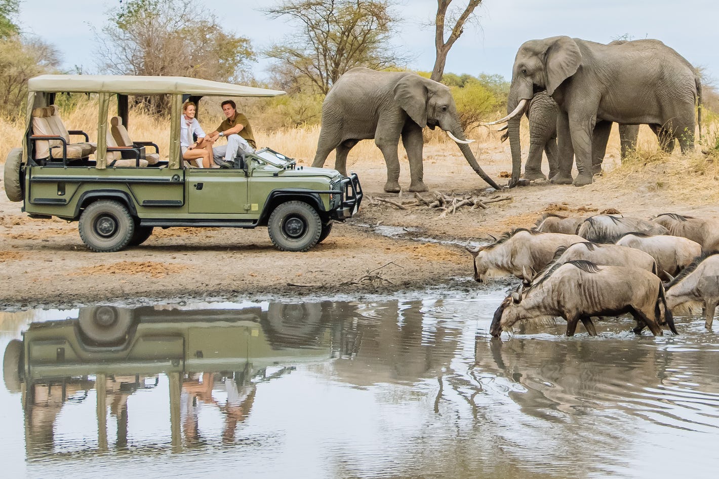 Kenya and Tanzania Wildlife Safari