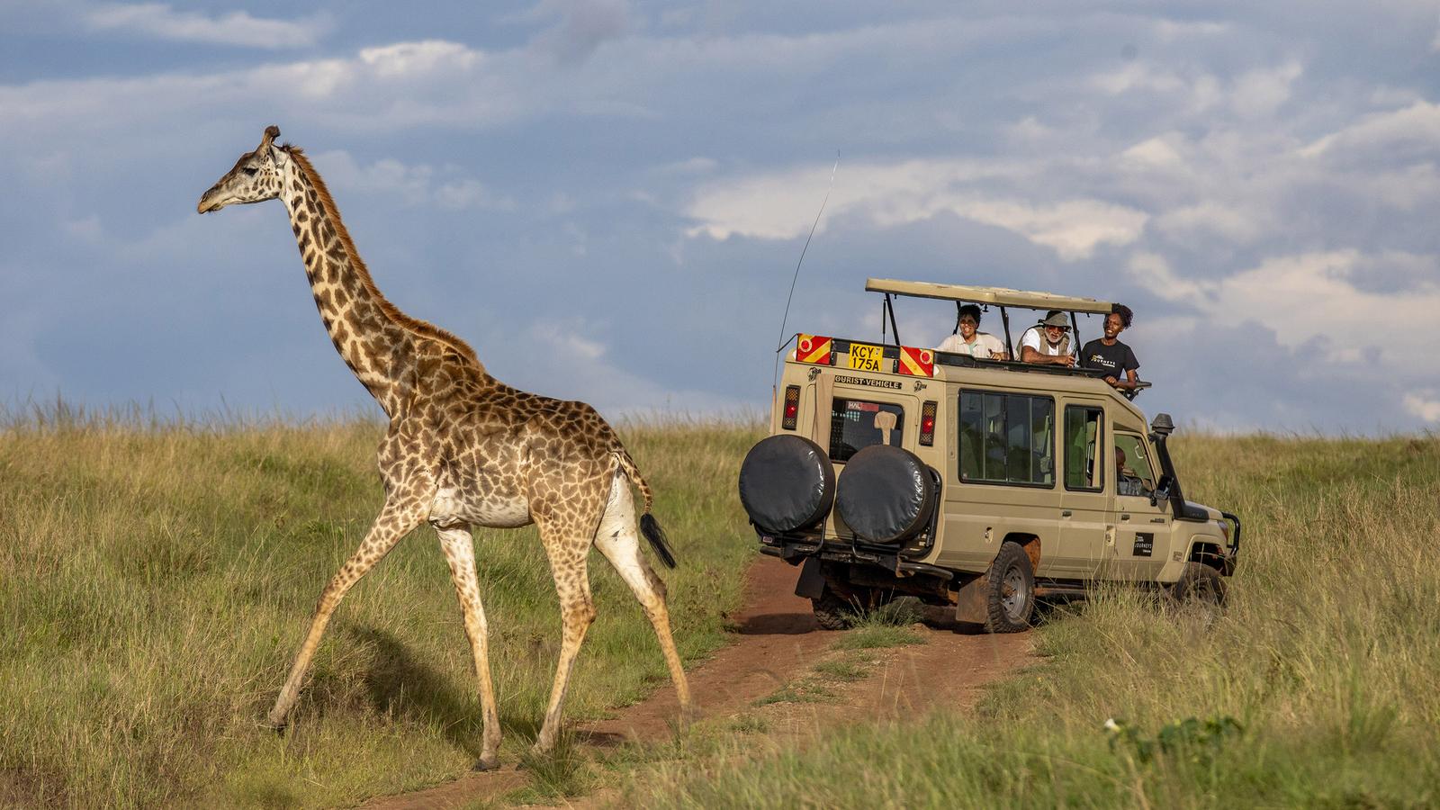 Kenya Wildlife Safari, Great Migration Experience and Mombasa Beach Holiday
