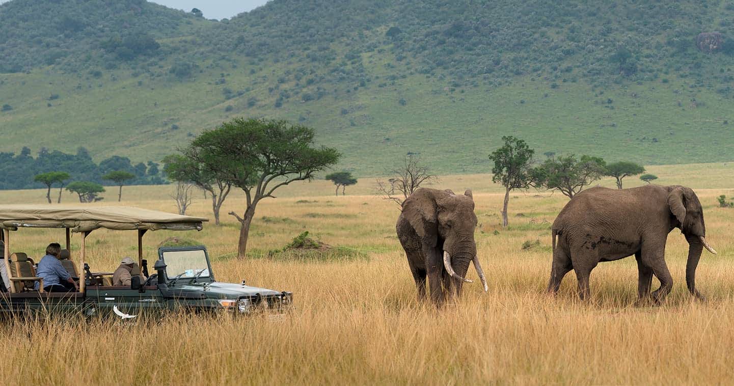 Maasai Mara National Park