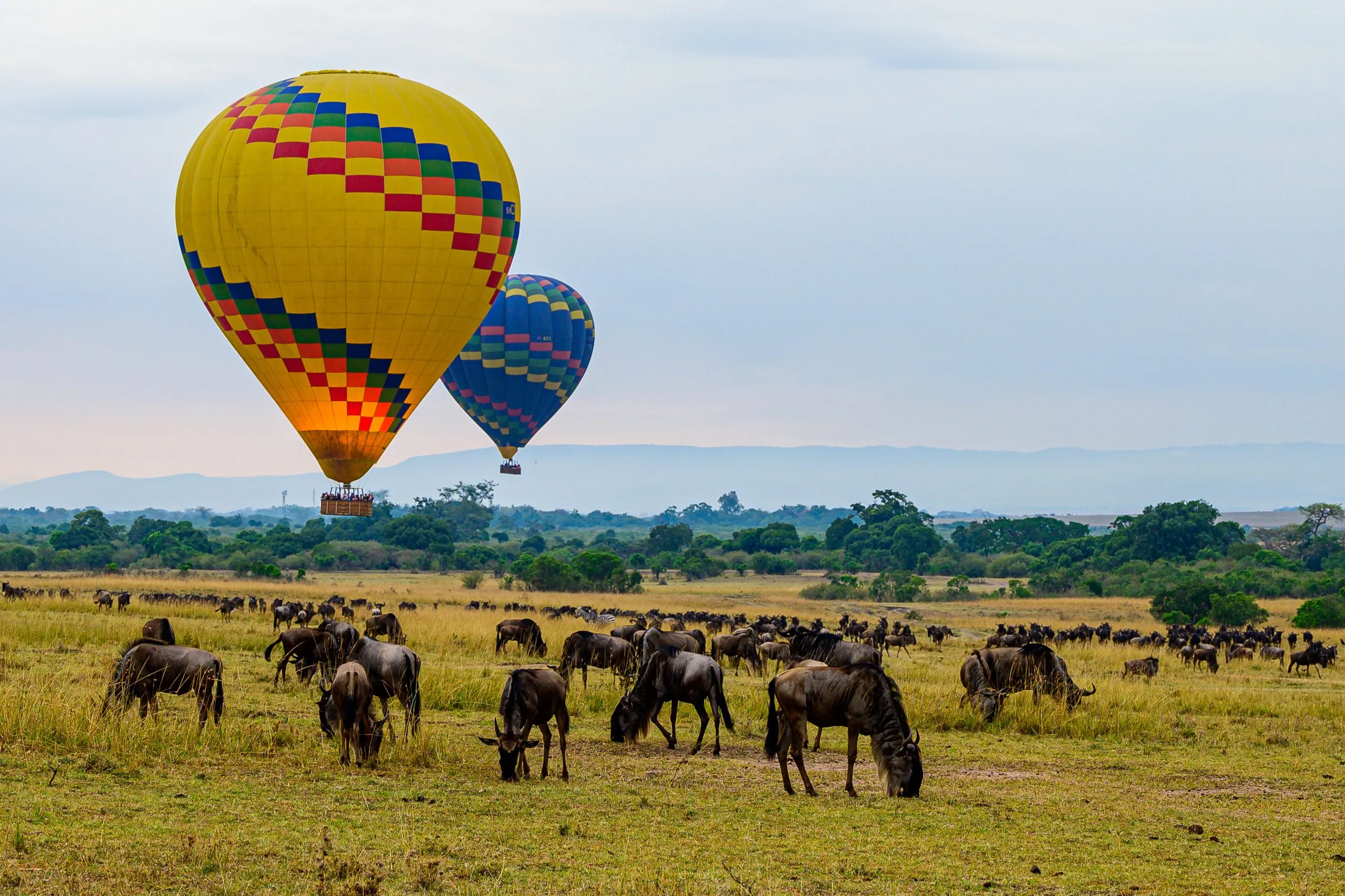 Maasai Mara National Park