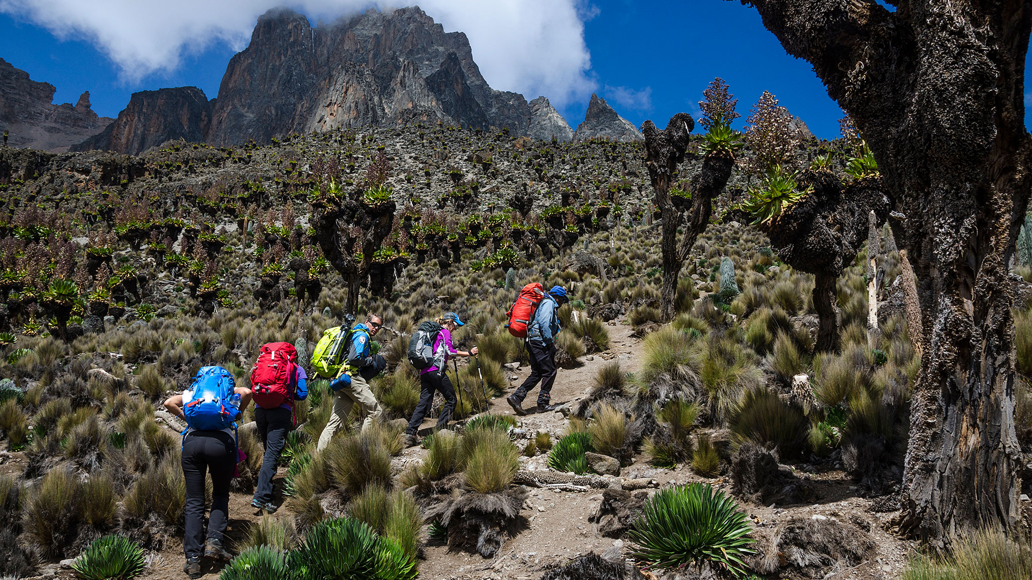Mount Kenya