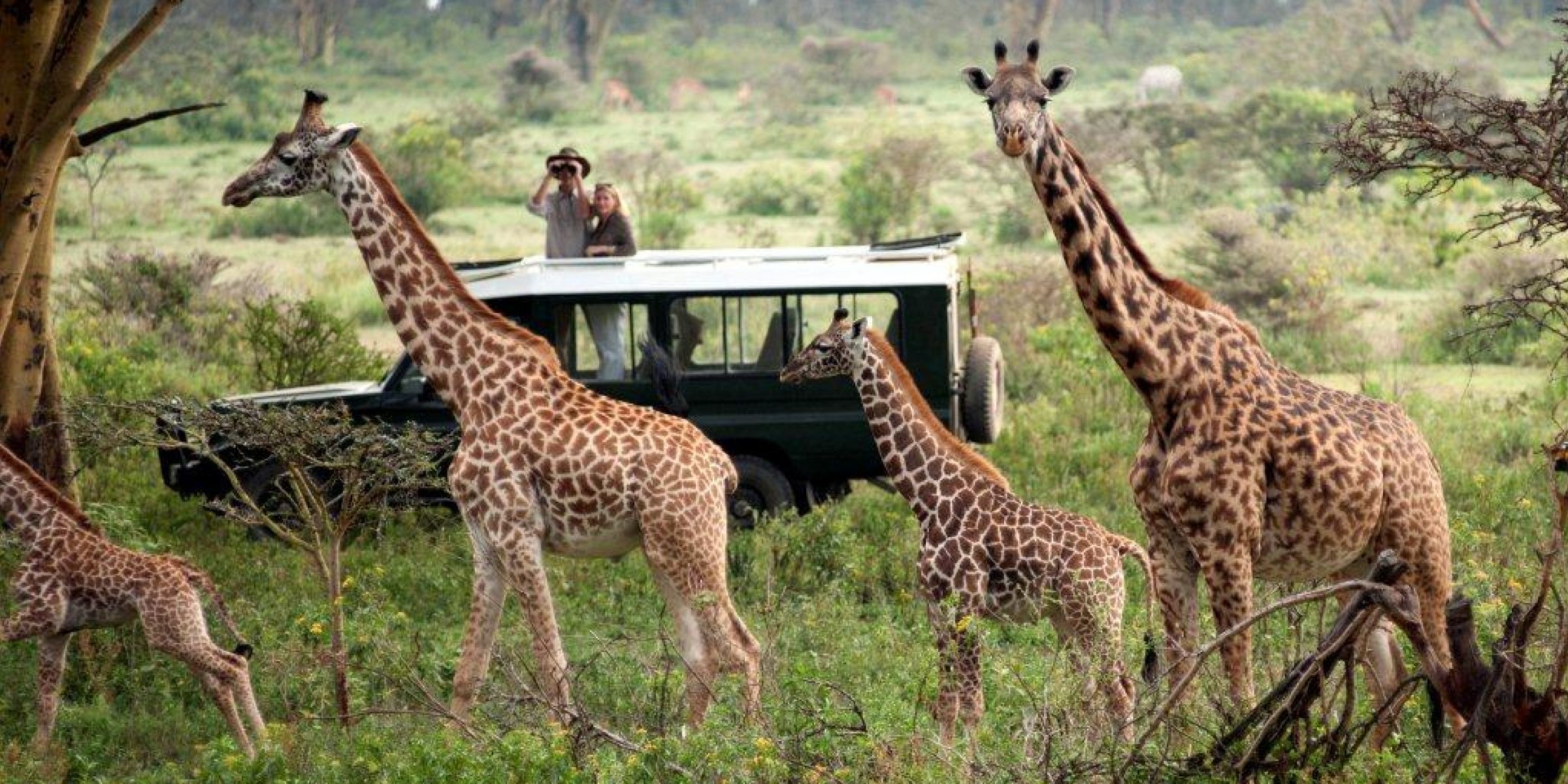 Samburu, Aberdare Park, Lake Naivasha and Masai Mara Adventures