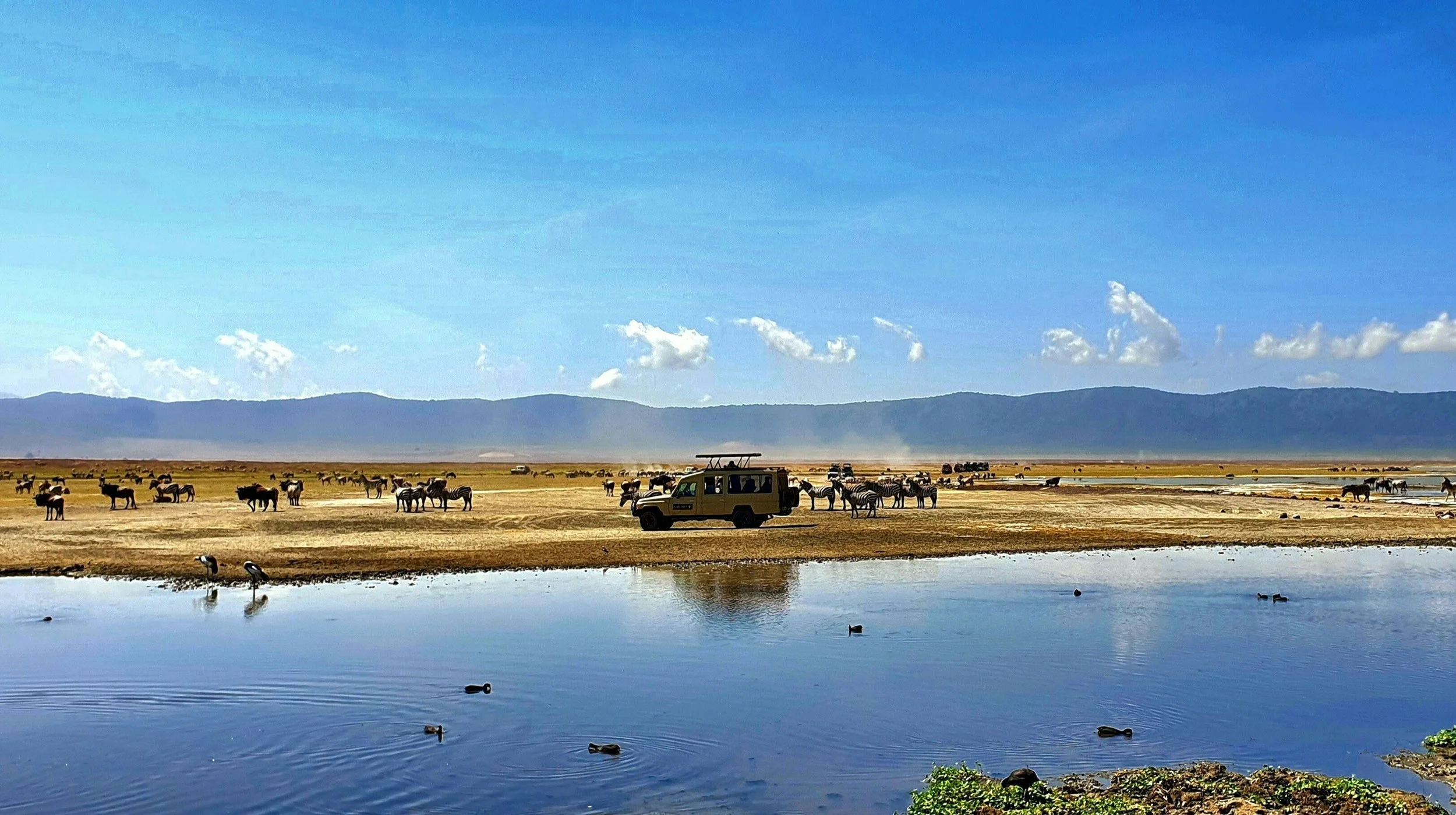 Ngorongoro Crater 