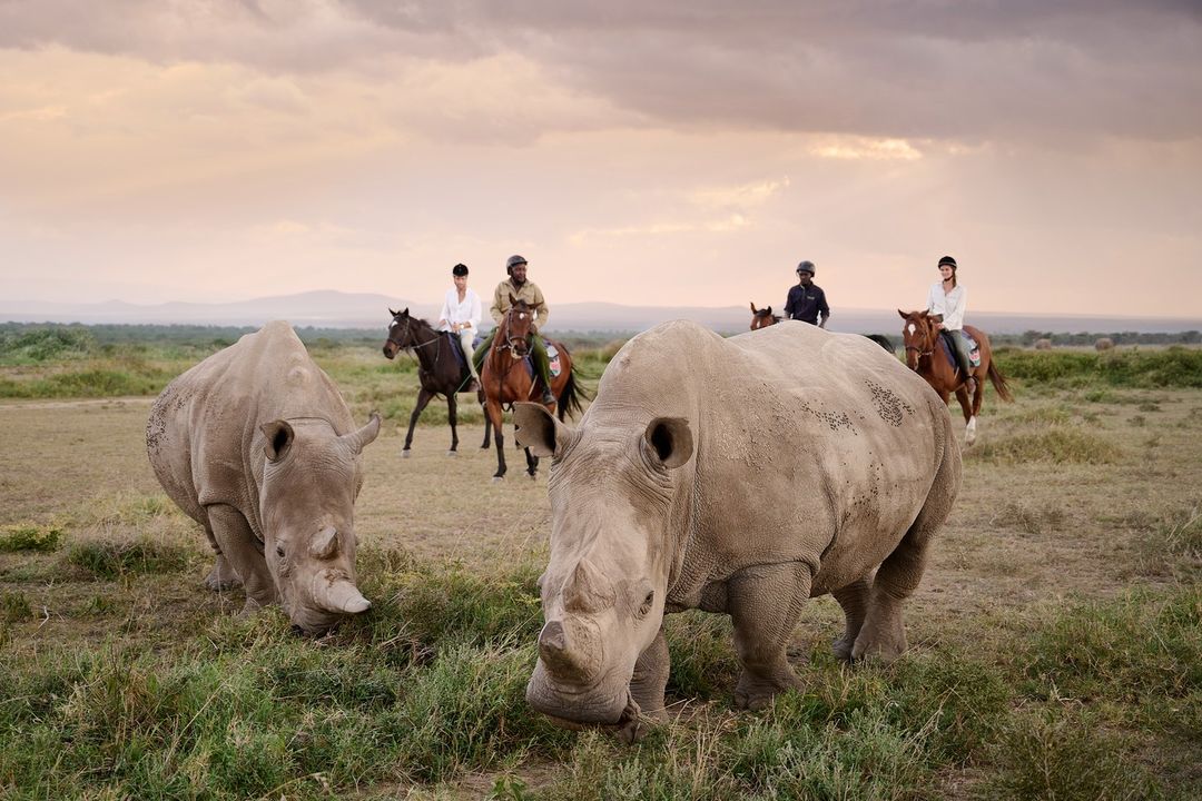 Samburu, Aberdare Park, Lake Naivasha and Masai Mara Adventures