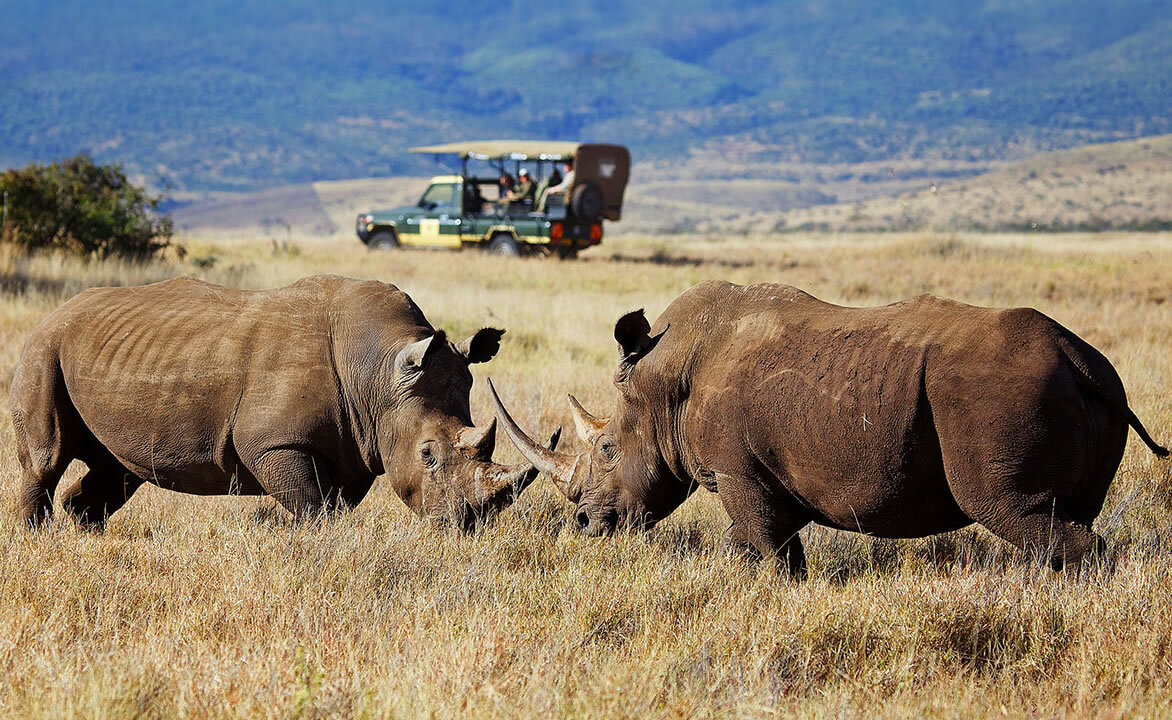 Holiday Safari to Kenya for Family Adventure: Intro to Wildlife, Culture, and Nature