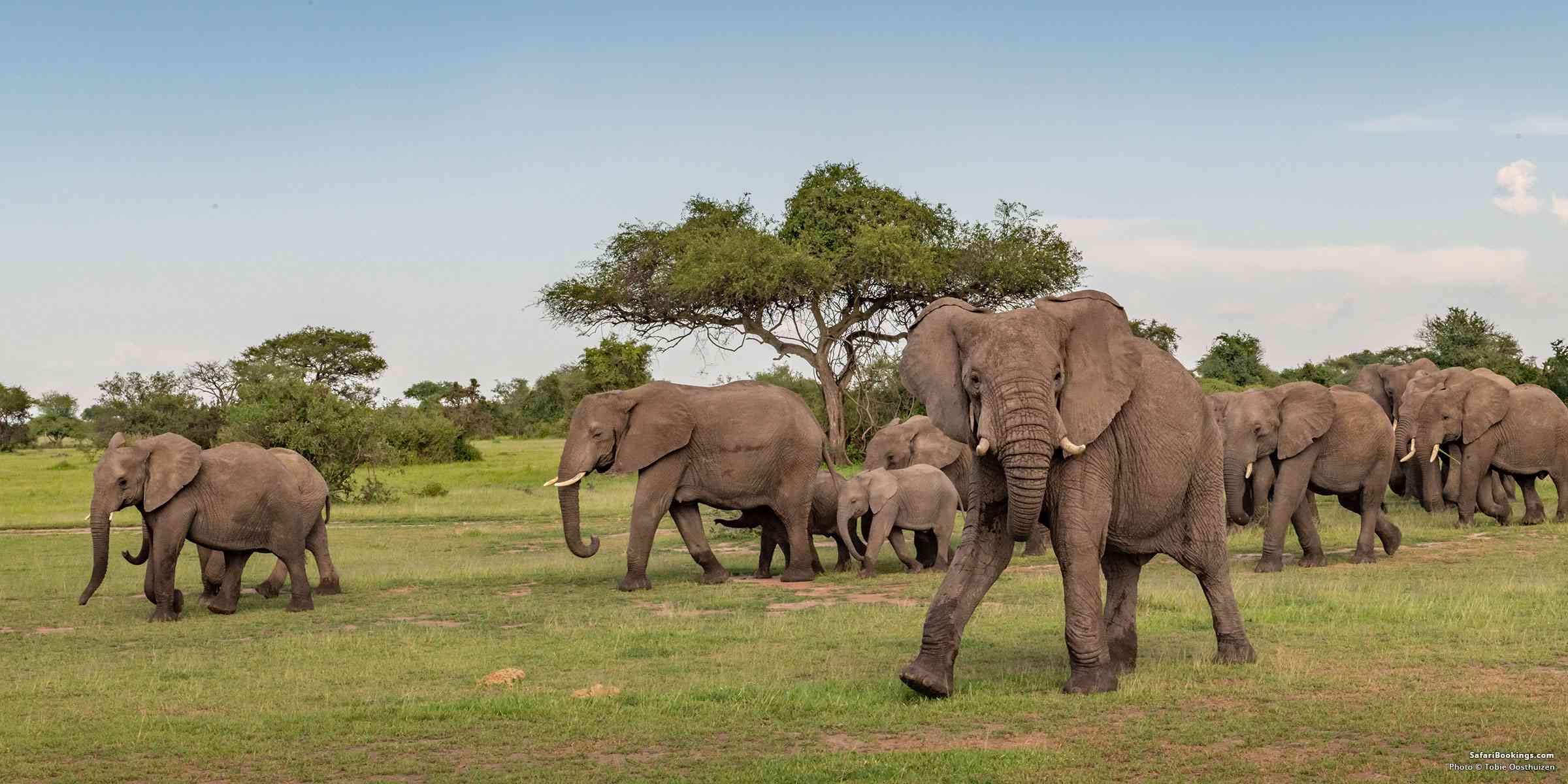 Serengeti National Park