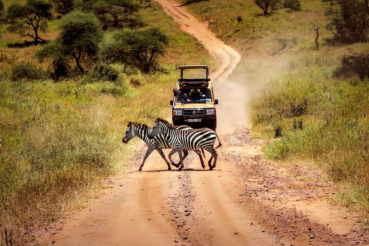 Serengeti National Park