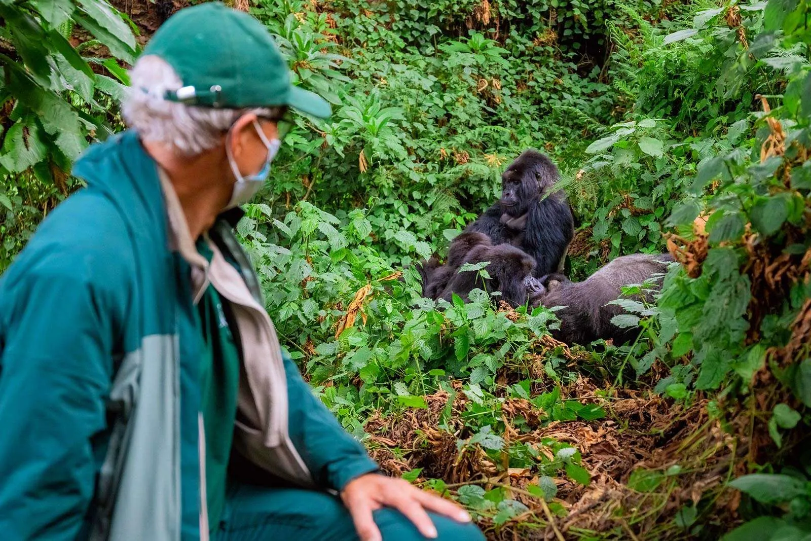 The Ultimate Uganda Wildlife and Gorilla Trekking Safari