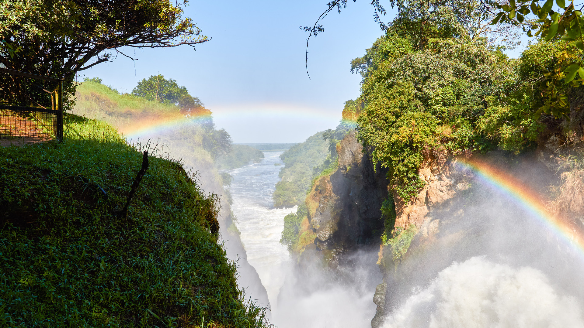 Uganda Wildlife, Primate & Gorilla Trekking Safari Adventure